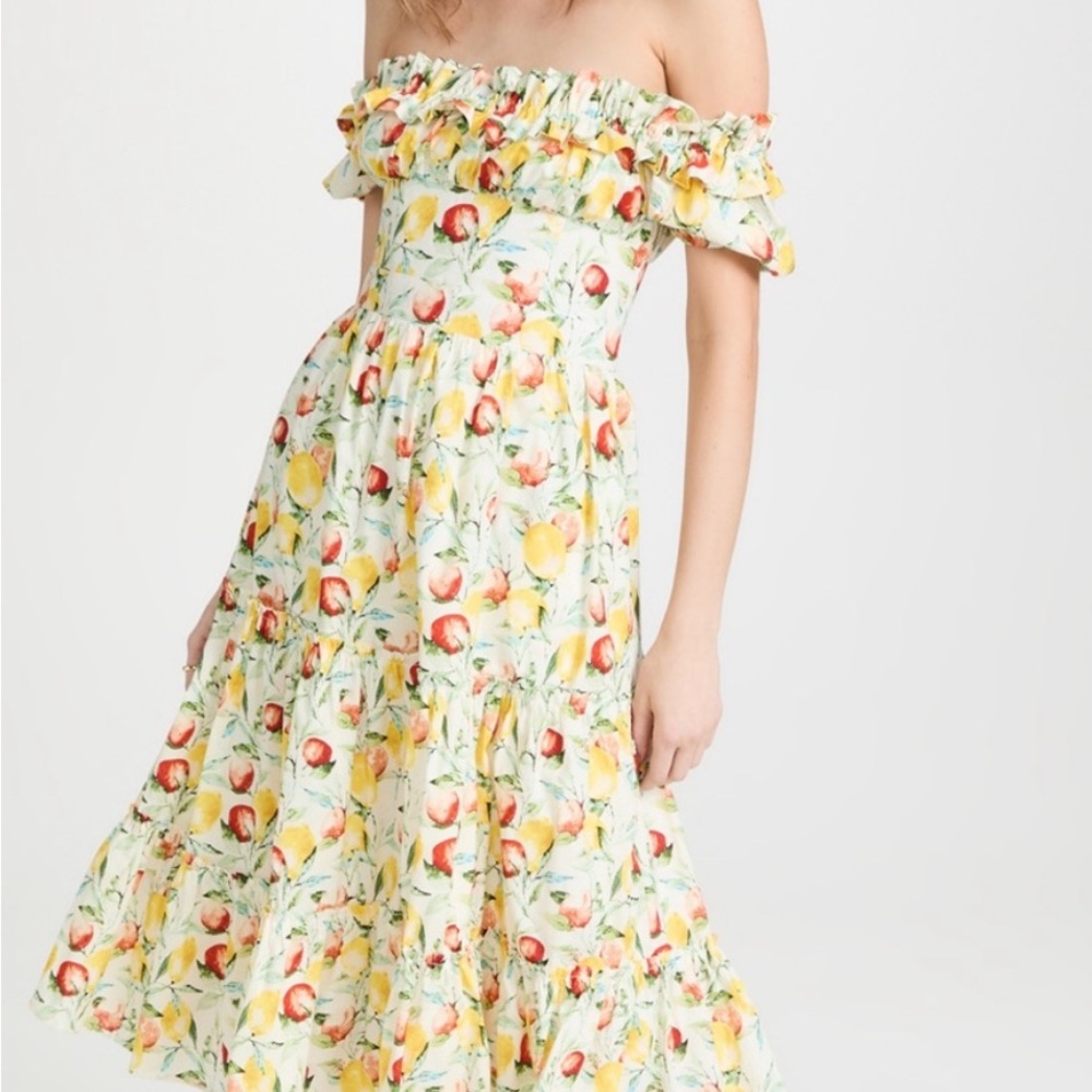 NWOT OPT allegra dress